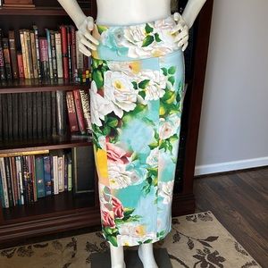Melissa McCarthy Seven La Vie En Rose Skirt